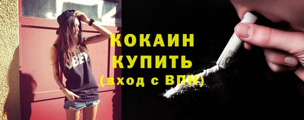 дживик Тобольск
