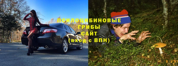 дурь Строитель