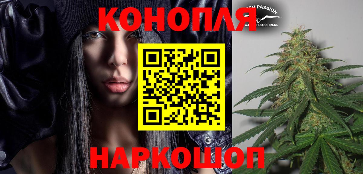 Бошки Шишки Пыть-Ях